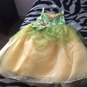 Disney Princess Dress